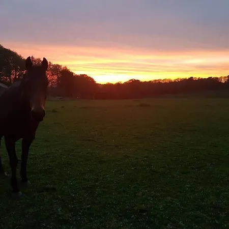 Sous Le Grand Chene, A La Ferme, Finistere Дом отдыха