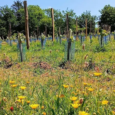 Sous Le Grand Chene, A La Ferme, Finistere Дом отдыха